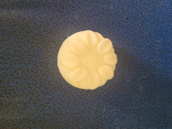 savon vaisselle solide
